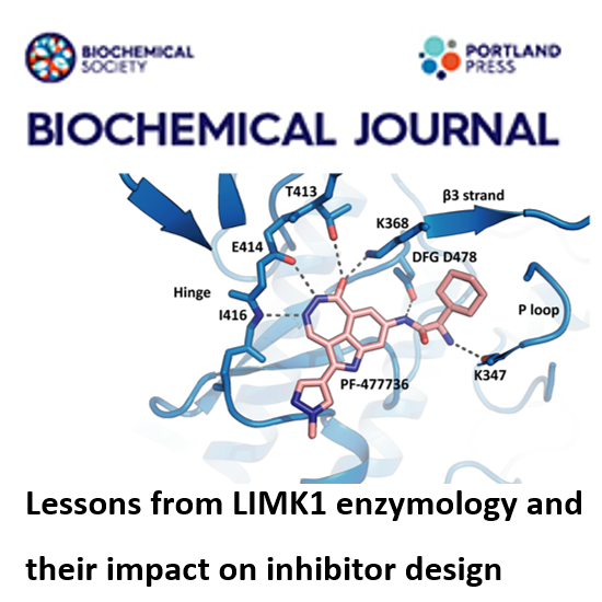 Biochemical Journal - Lessons from LIMK1